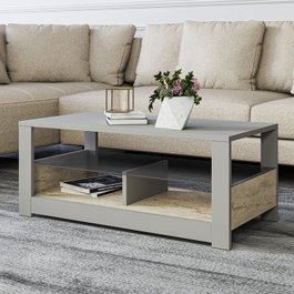 Hanah Home Mesa de Centro Gris y Travertino